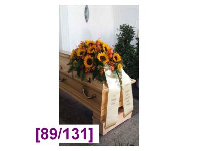 sargdecke_7_1000px_oe_1684169418